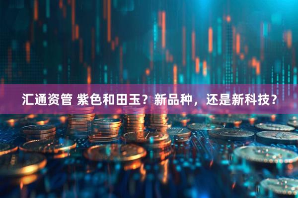 汇通资管 紫色和田玉？新品种，还是新科技？