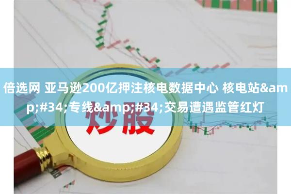 倍选网 亚马逊200亿押注核电数据中心 核电站&#34;专线&#34;交易遭遇监管红灯