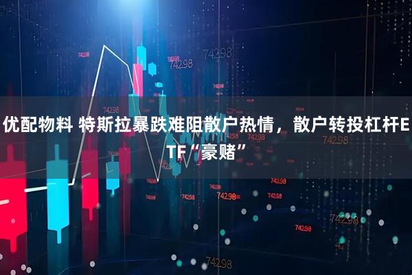 优配物料 特斯拉暴跌难阻散户热情，散户转投杠杆ETF“豪赌”