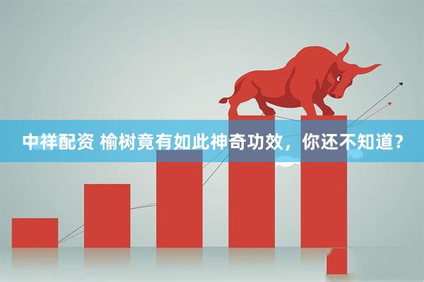 中祥配资 榆树竟有如此神奇功效，你还不知道？