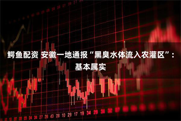 鳄鱼配资 安徽一地通报“黑臭水体流入农灌区”：基本属实