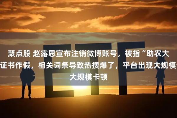 聚点股 赵露思宣布注销微博账号，被指“助农大使”证书作假，相关词条导致热搜爆了，平台出现大规模卡顿