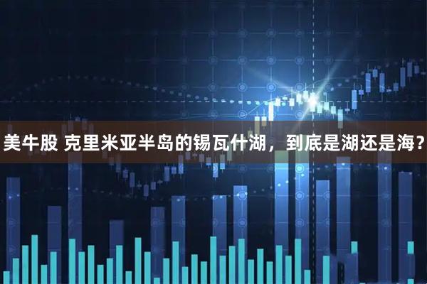 美牛股 克里米亚半岛的锡瓦什湖，到底是湖还是海？
