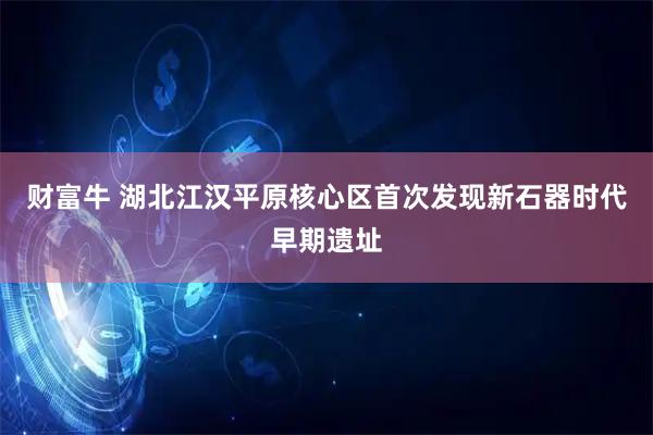 财富牛 湖北江汉平原核心区首次发现新石器时代早期遗址
