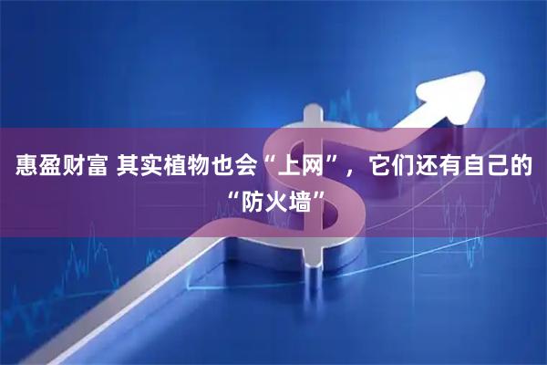 惠盈财富 其实植物也会“上网”，它们还有自己的“防火墙”
