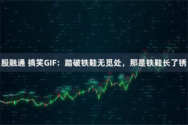 股融通 搞笑GIF：踏破铁鞋无觅处，那是铁鞋长了锈
