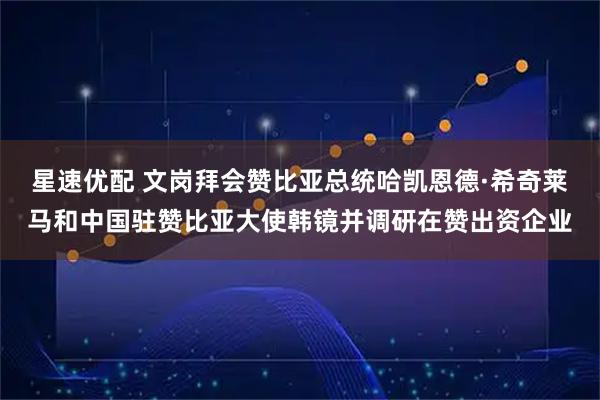 星速优配 文岗拜会赞比亚总统哈凯恩德·希奇莱马和中国驻赞比亚大使韩镜并调研在赞出资企业