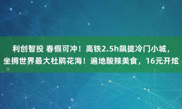 利创智投 春假可冲！高铁2.5h飙拢冷门小城，坐拥世界最大杜鹃花海！遍地酸辣美食，16元开炫